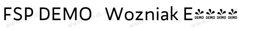 FSP DEMO   Wozniak E字体转换